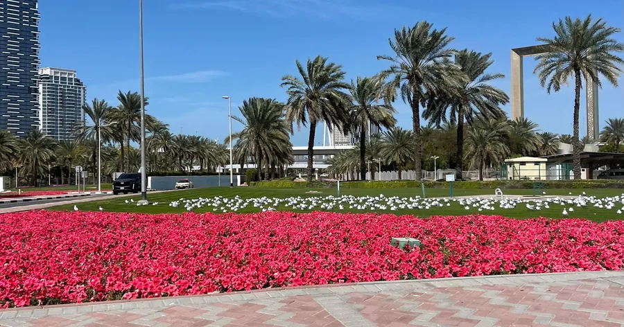 برج خليفة خلف حوض من الزهور الوردية وأشجار النخيل في حديقة برج خليفة